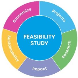 Types of Feasibility Studies Types of Feasibility Studies